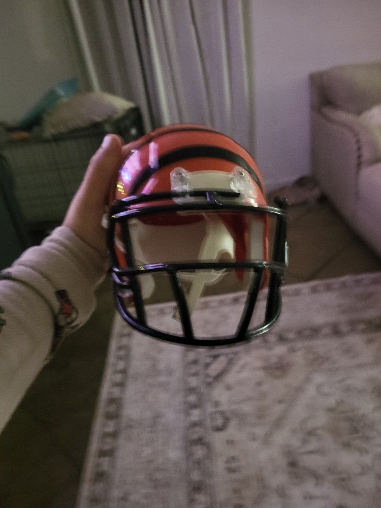 Little Bengals Helmet To Fit On Pets