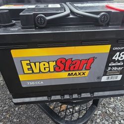 Brand New Ever Start Battery 