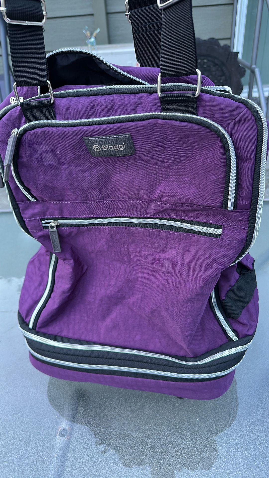 Biaggi Expandable roller bag, Purple