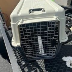 Dog Crate 