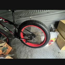 Big Fat Bike