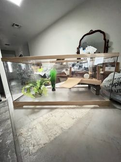 Turtle tank and supplies