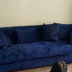 Blue Couch