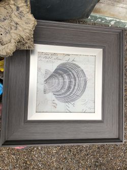 Picture Frame/ Shell Sketches 