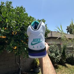 Jordan 5 Grape 