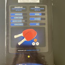Ping Pong Set (used)