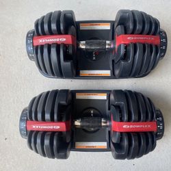 Bowflex Dumbbells 