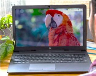 HP Laptop New