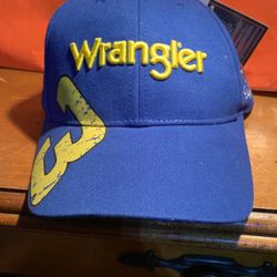 Dear Earnhardt’s hat $15 can be picked up or shipped five dollars