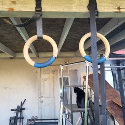 Ring Bars