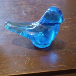 Cobalt Bluebird Of Happiness