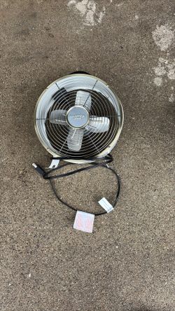 Fan