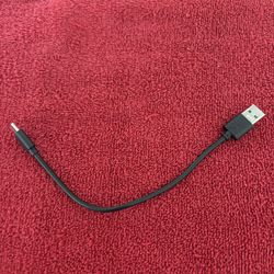 Type C Black Charger 9in