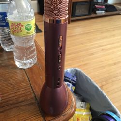 rose/gold karaoke microphone