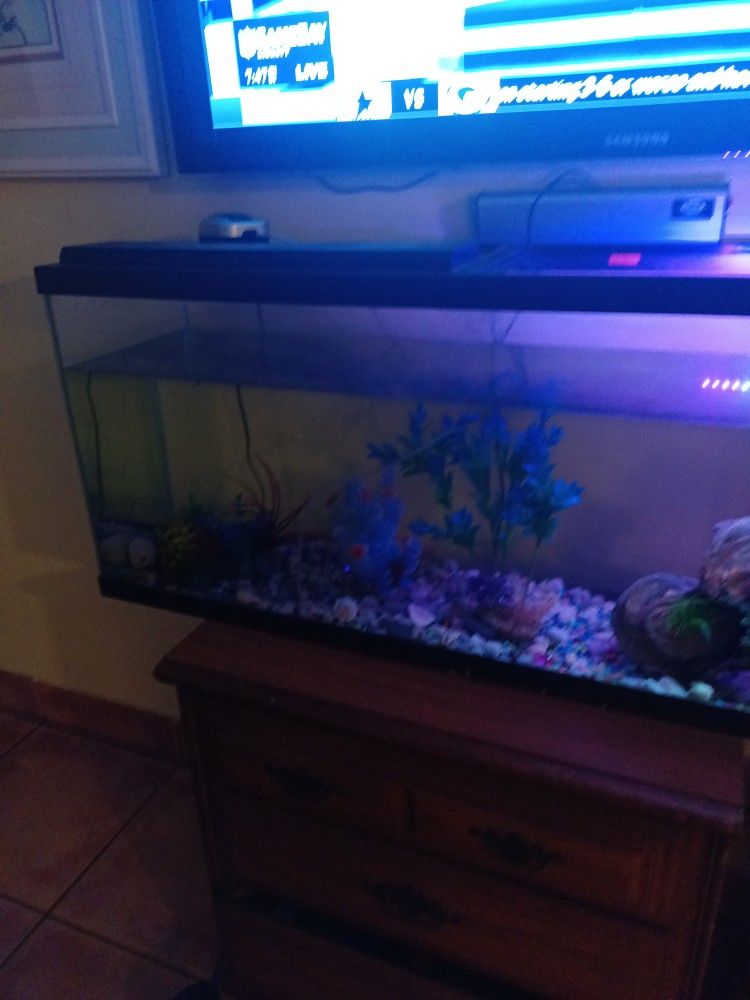 Fish Tank