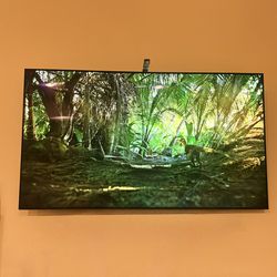 LG Oled 65 Inch 2019 B9