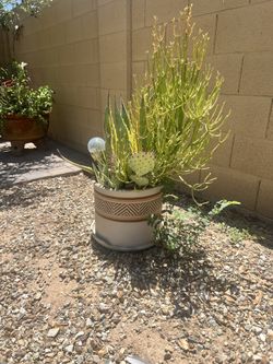 Fire Stick And Mother Of Millions With Pot