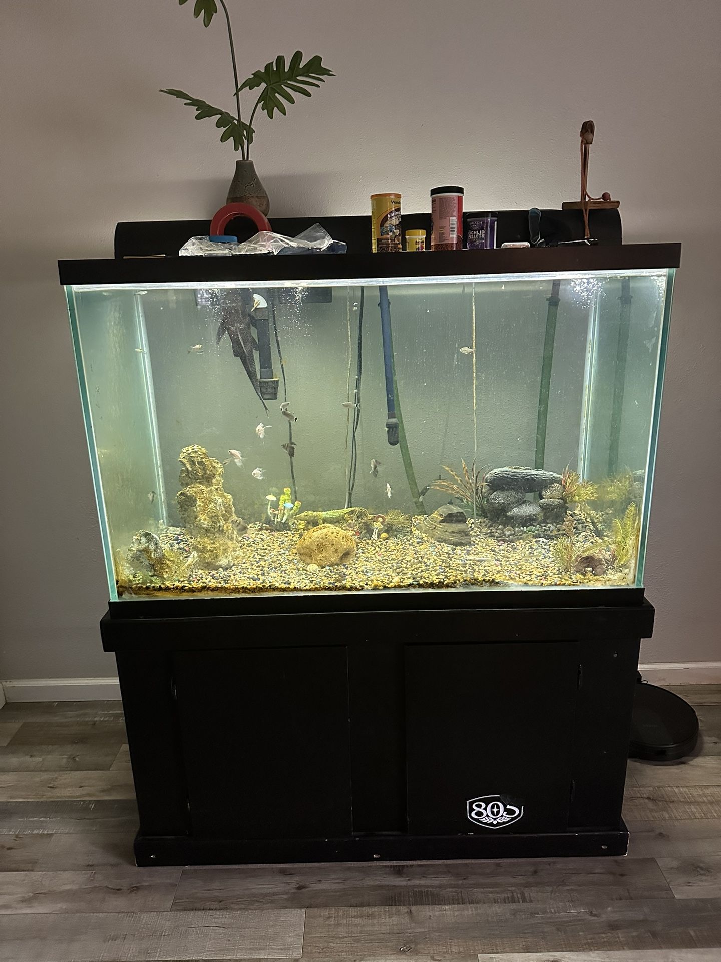 150gal Fish Tank