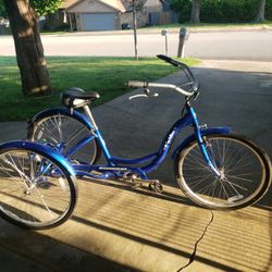 Schwinn Trike
