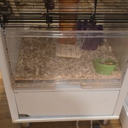 2 Hamster Cages