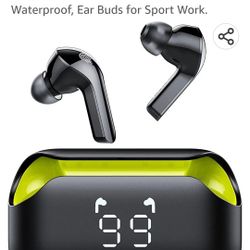 Earbuds.