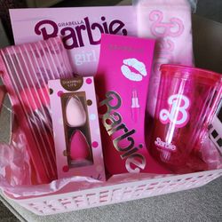 New Pink Barbie Bundle 