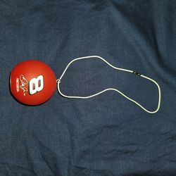 Earnhardt Jr car ornament