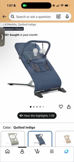 Baby Delight AlpineDeluxe Bouncer