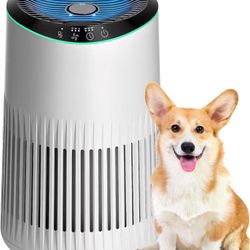 Air Purifiers for Home, Air Purifier for Smoke Odors with Fragrance Sponge, Small Air Purifier with Sleep Mode for Bedroom Office, Blue Night Light, W