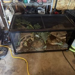 Reptile tank