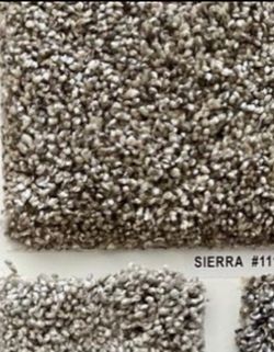 Sierra 111 Carpet Sample