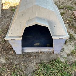 Dog House 