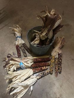 corn decoration with pot good for fall decorations