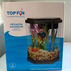 Fish Tank