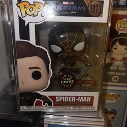 Spider Man Chase 