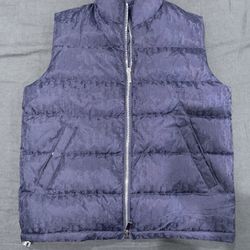 Dior Puffer Vest 