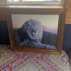 Wood Framed Vintage Lion Photograph Wooden Frame Artwork Wall Art