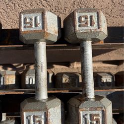15 lbs dumbbells