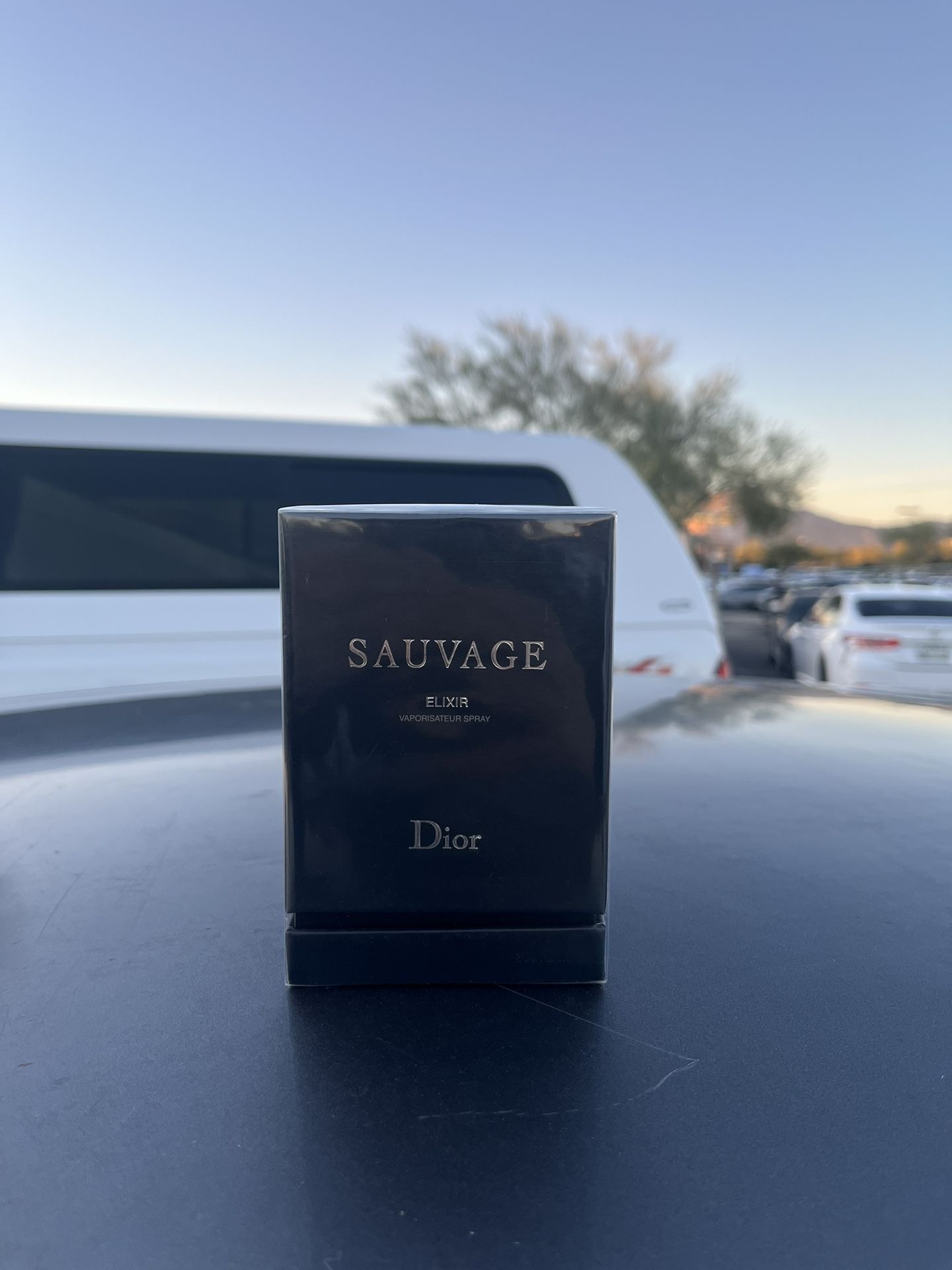 Sauvage Dior Elixir