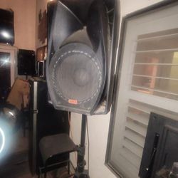 15" Plug And Play Bluetooth Speaker With Eq. Heavy Duty Stand , Firm Price Lowballers Will Be Ignored 