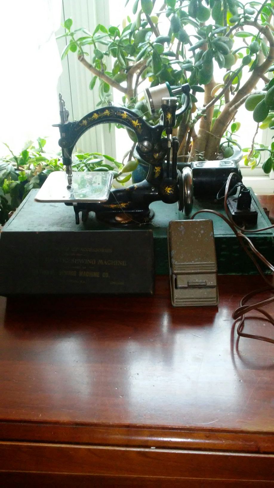 Antique B. Eldredge Automatic Chain Stitch Sewing Machine