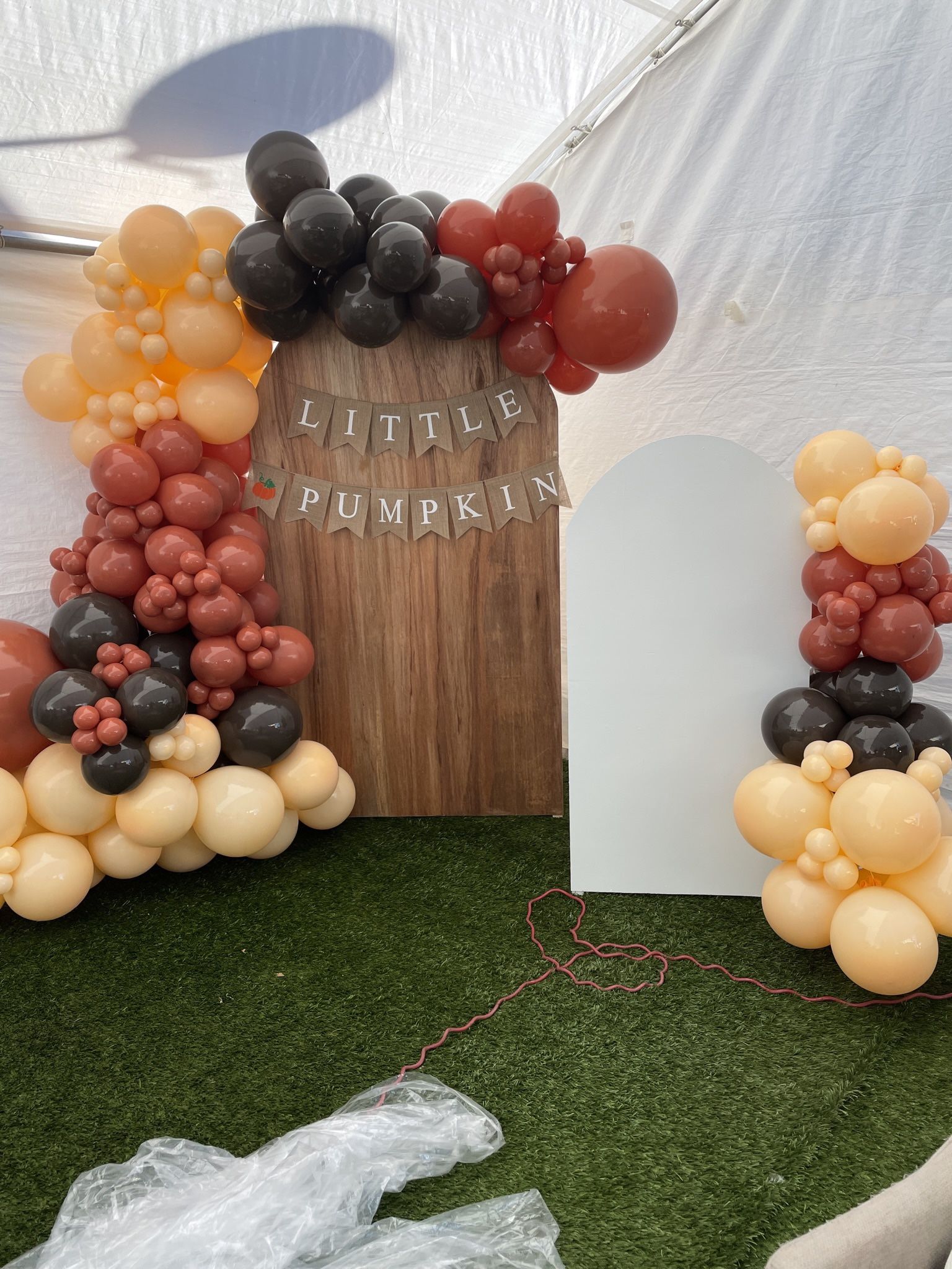 Balloon Arch And Backdrop