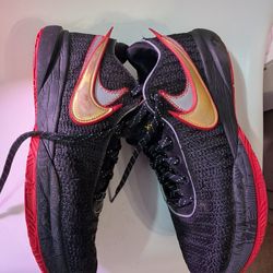 LEBRON XX size 12  Men’s
