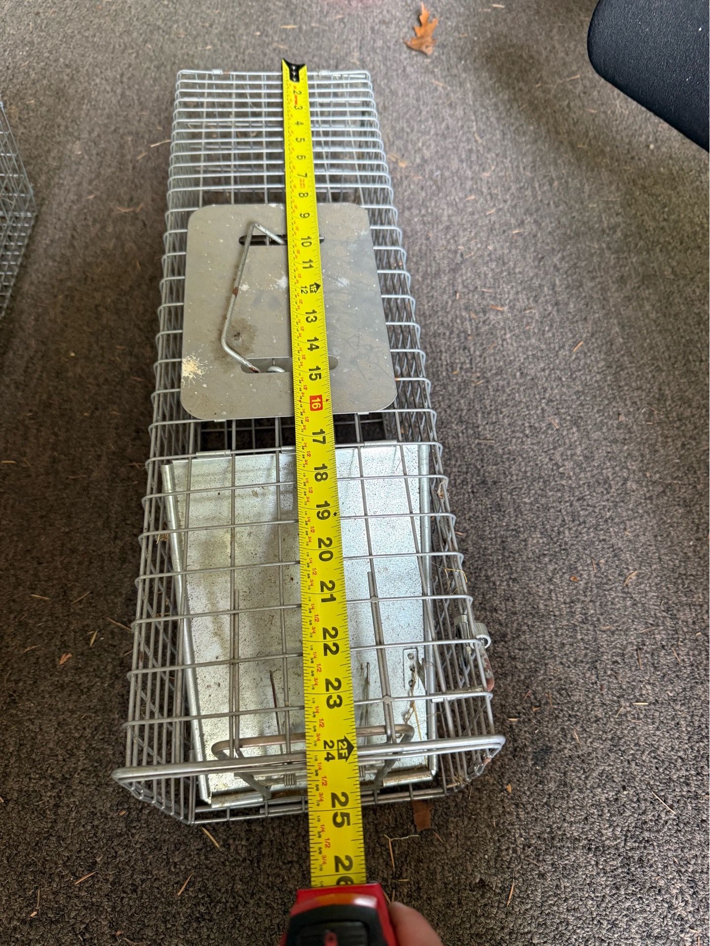Animal trap