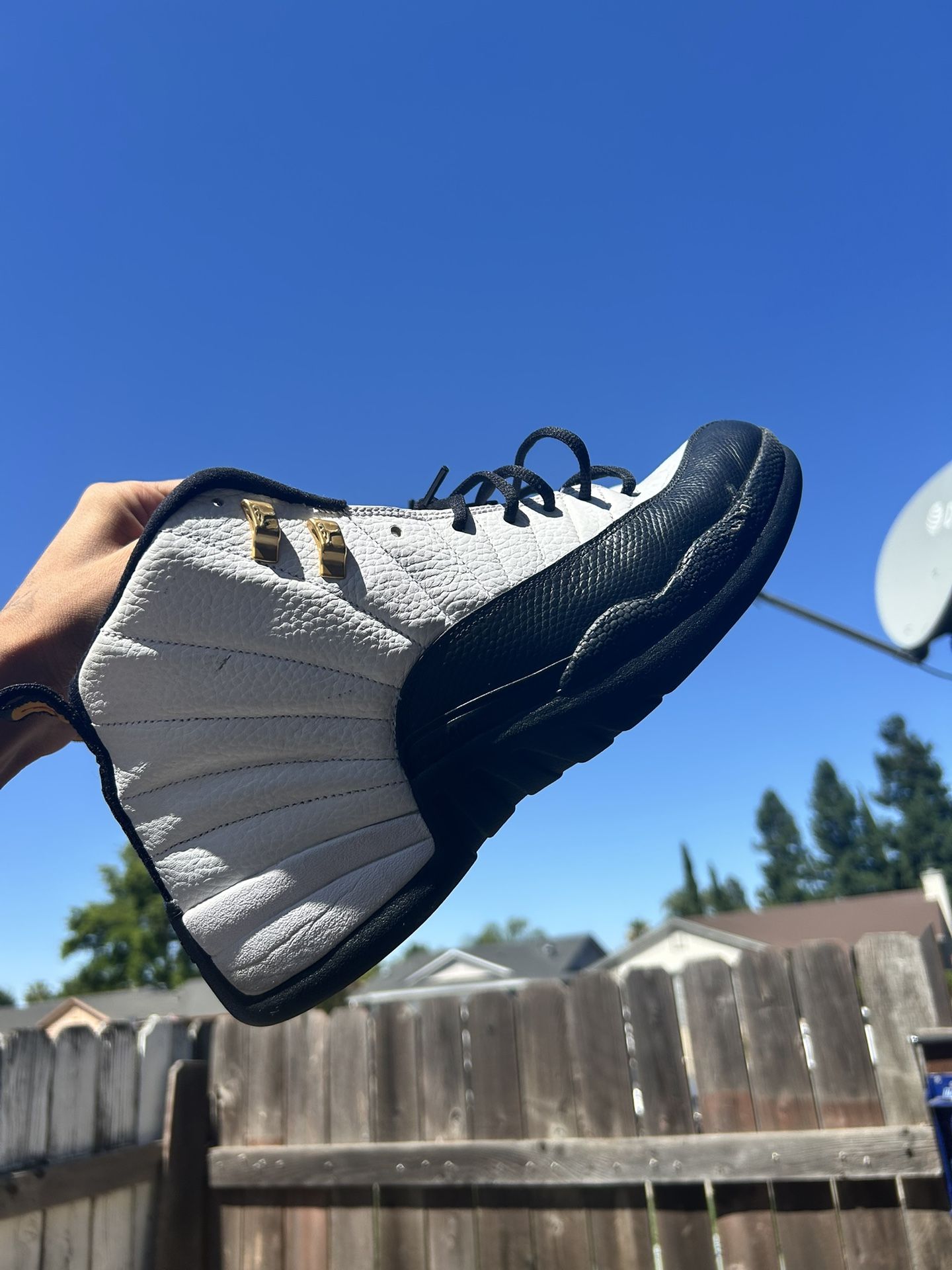 Jordan 12s