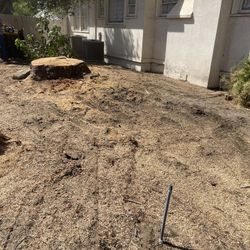 Stump Grinding 