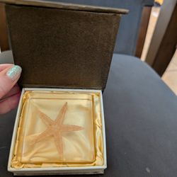 Starfish Paper weight 