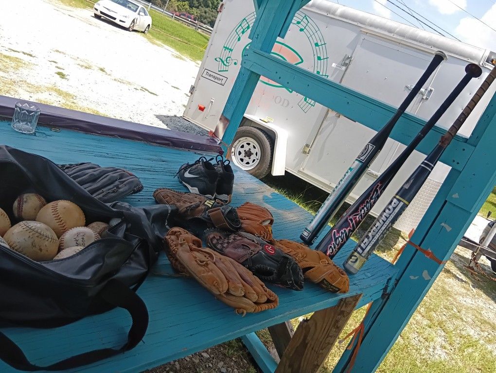 Baseball And Bat Collection