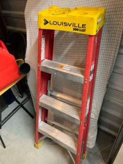 5ft ladder