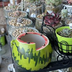 Succulent Pot 